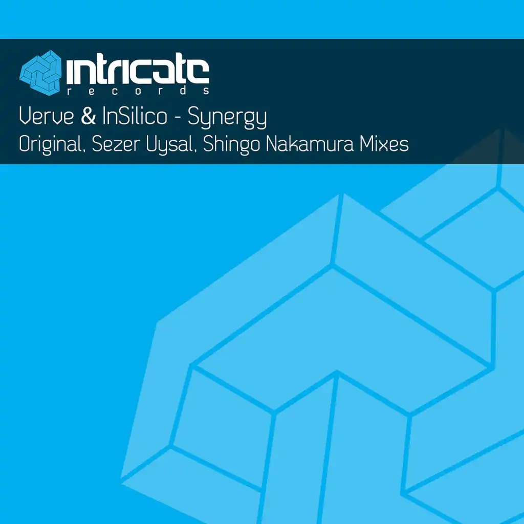 Synergy (Sezer Uysal's Creating Synergy Remix)