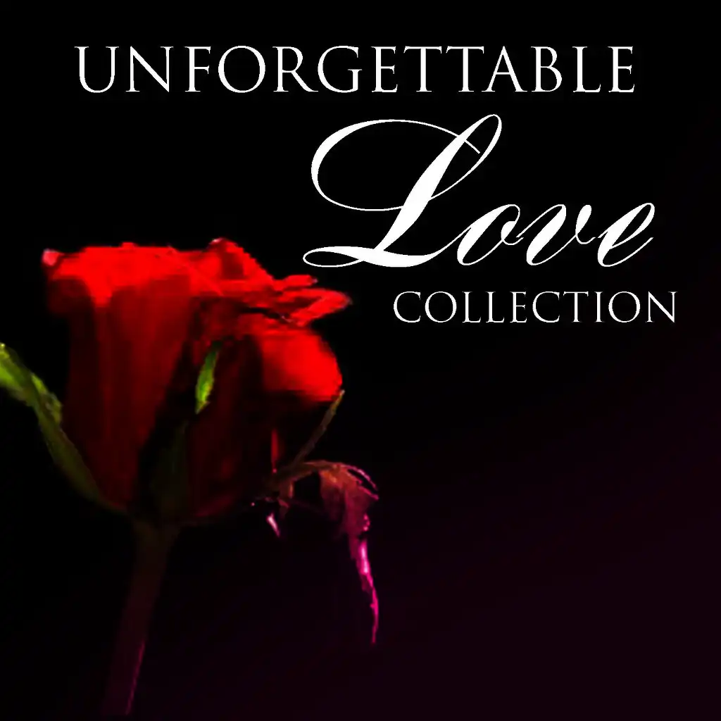 Unforgettable Love Collection