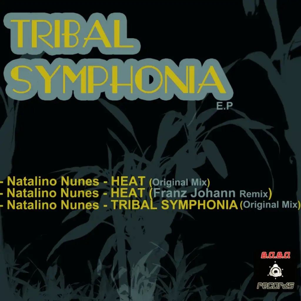 Tribal Symphonia