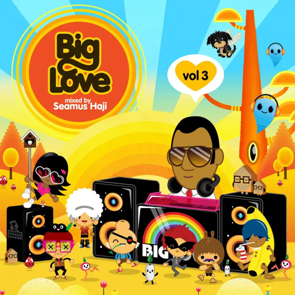 Big Love, Vol. 3 Mixed by Seamus Haji