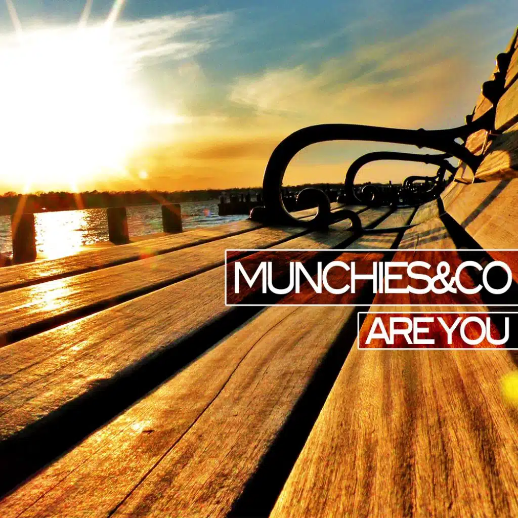 Are You (Bollo Remix)