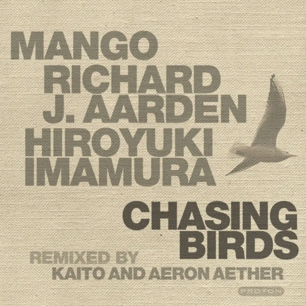 Chasing Birds (Aeron Aether Version)