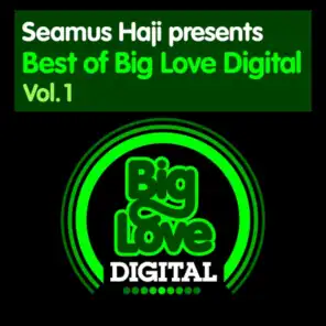 Seamus Haji presents Best of Big Love Digital, Vol. 1