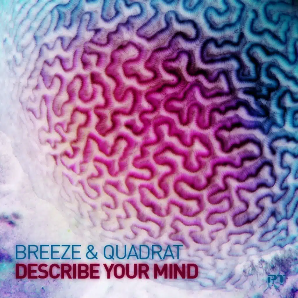 Describe Your Mind (feat. Breeze & Quadrat)
