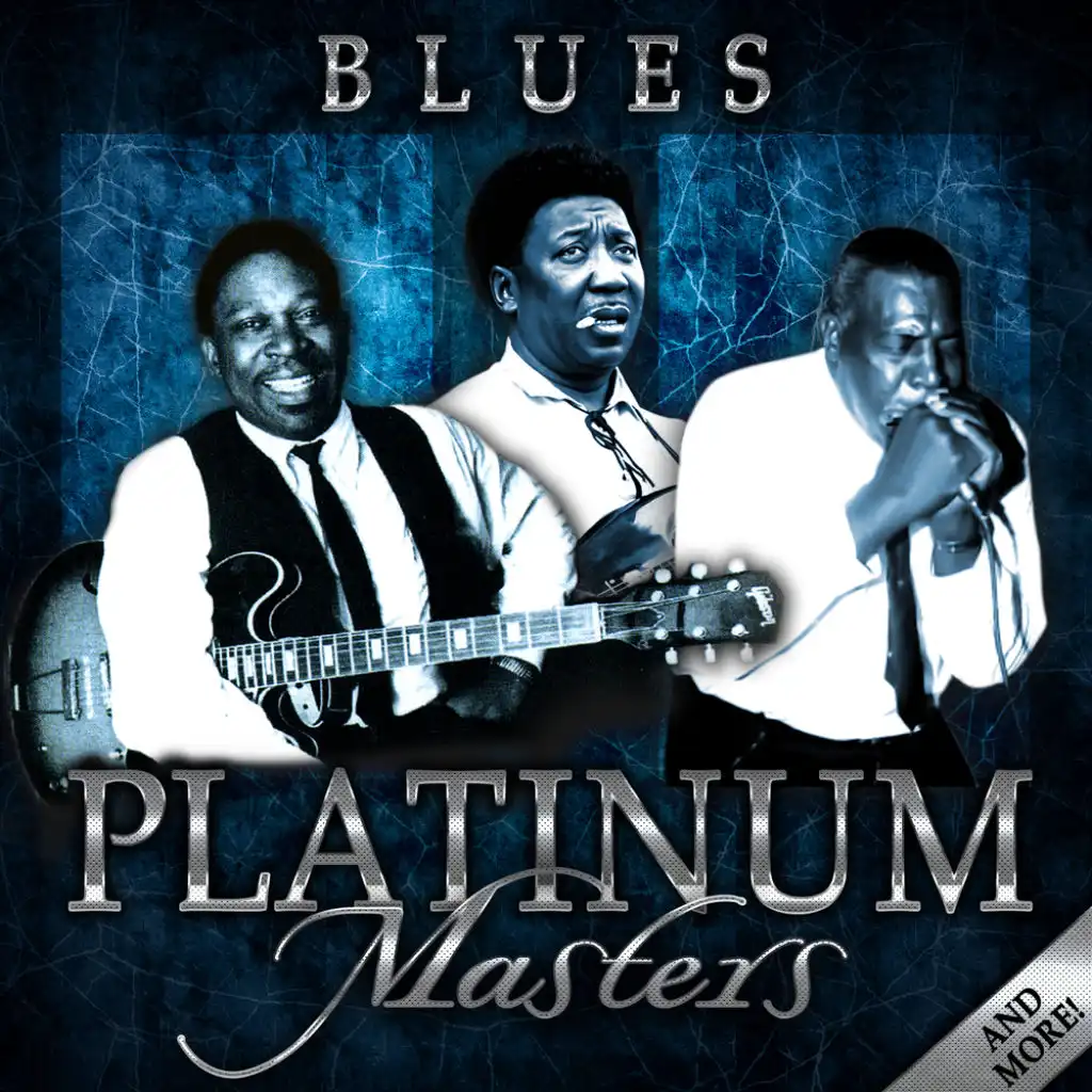 Blues: Platinum Masters