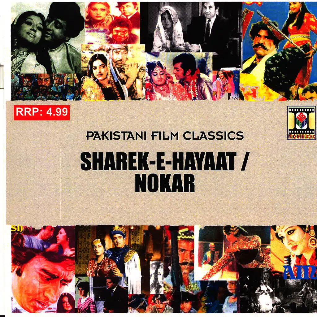 Sharek-E-Hayaat / Nokar