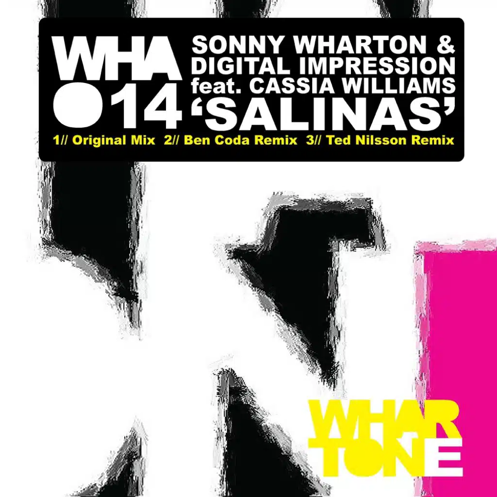 Salinas (feat. Cassia Williams)