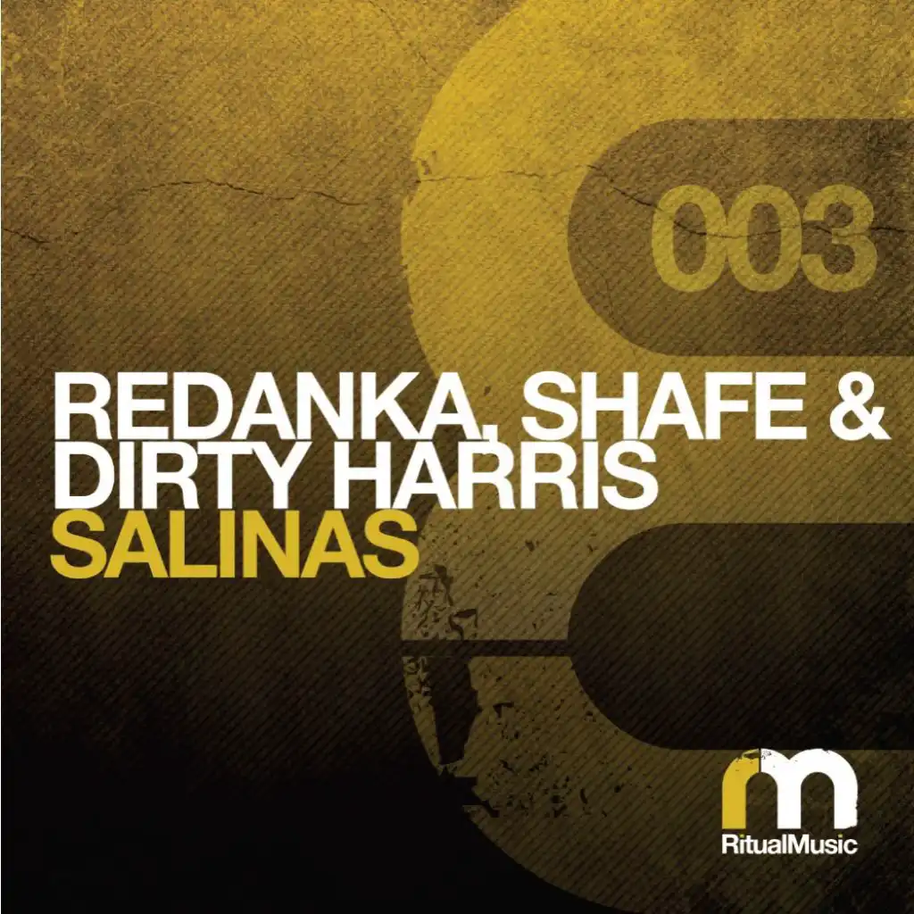 Salinas (feat. Redanka, Shafe & Dirty Harris)