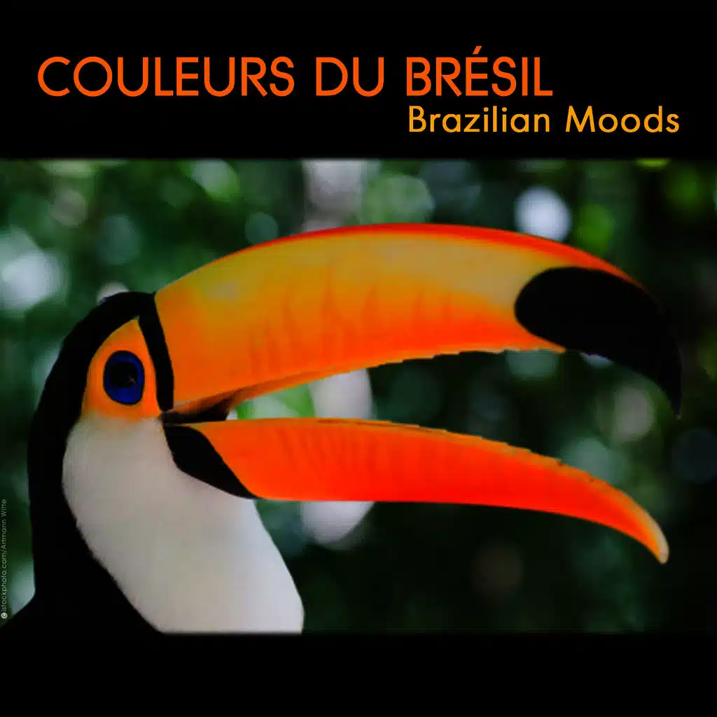 Samba De Uma Nota So (One Note Samba)