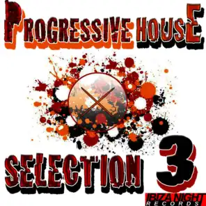 Progressive House Selection Vol.3