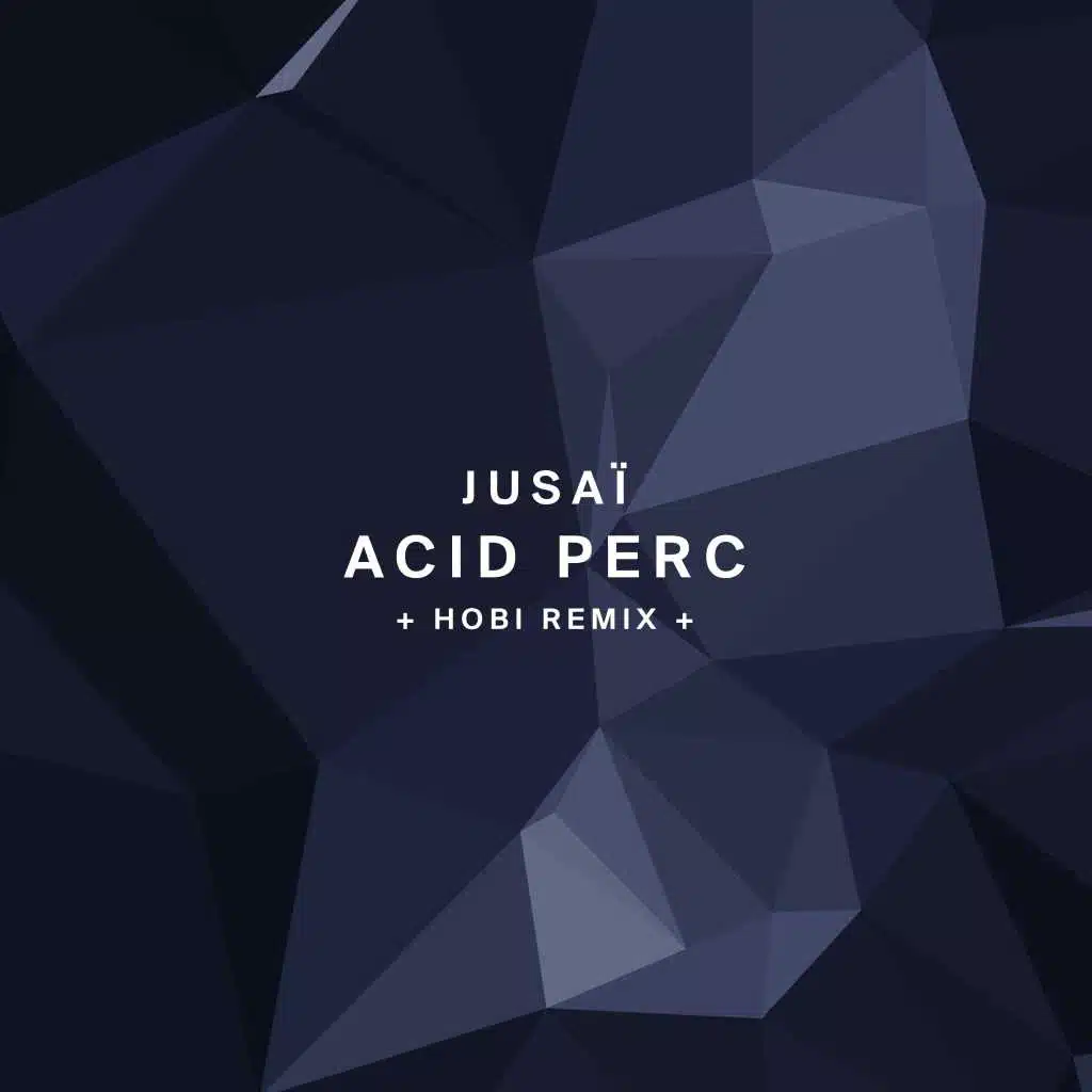 Acid Perc (Hobi Remix)