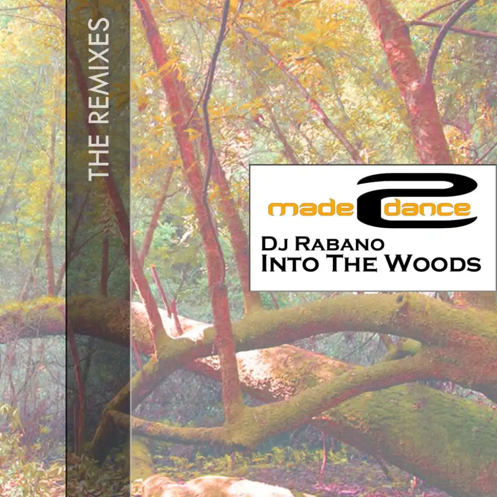 Into The Woods (Anjiro Rijo Remix)
