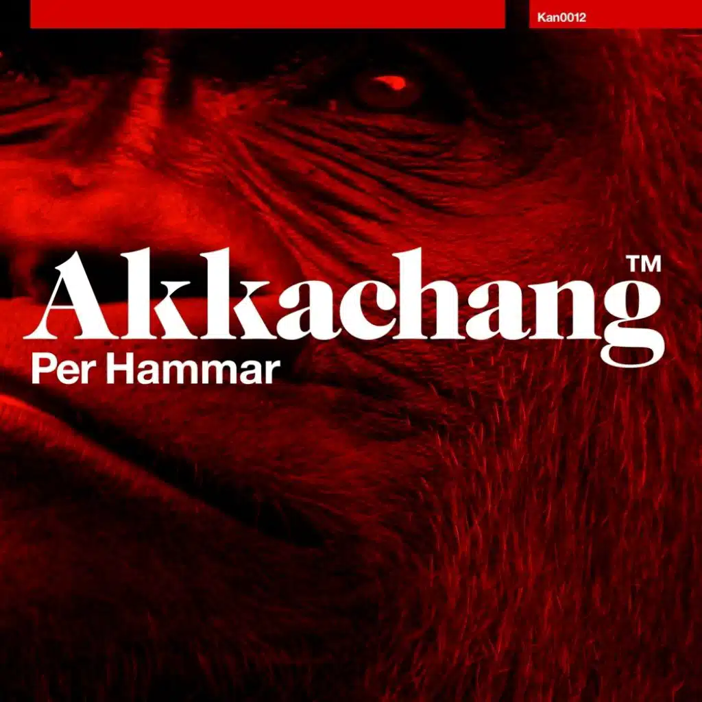 Akkachang (Himan Remix)