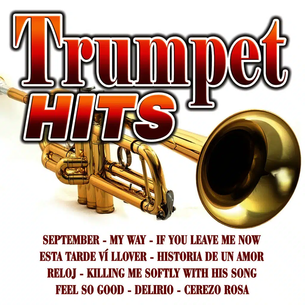 Killing Me Softly With His Song|Instrumental Trumpet