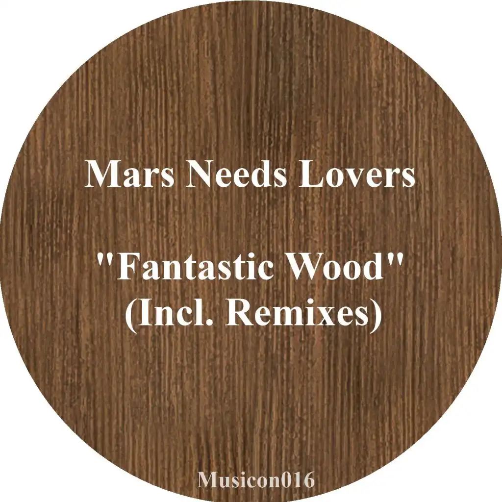 Fantastic Wood (Lautaro Varela Remix)