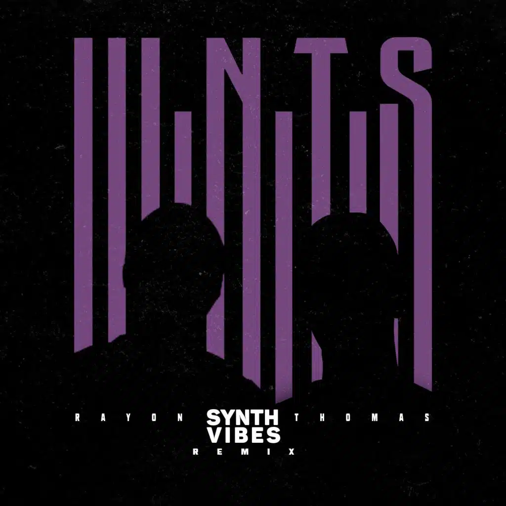 W.N.T.S. (Synth Vibes) (Remix)
