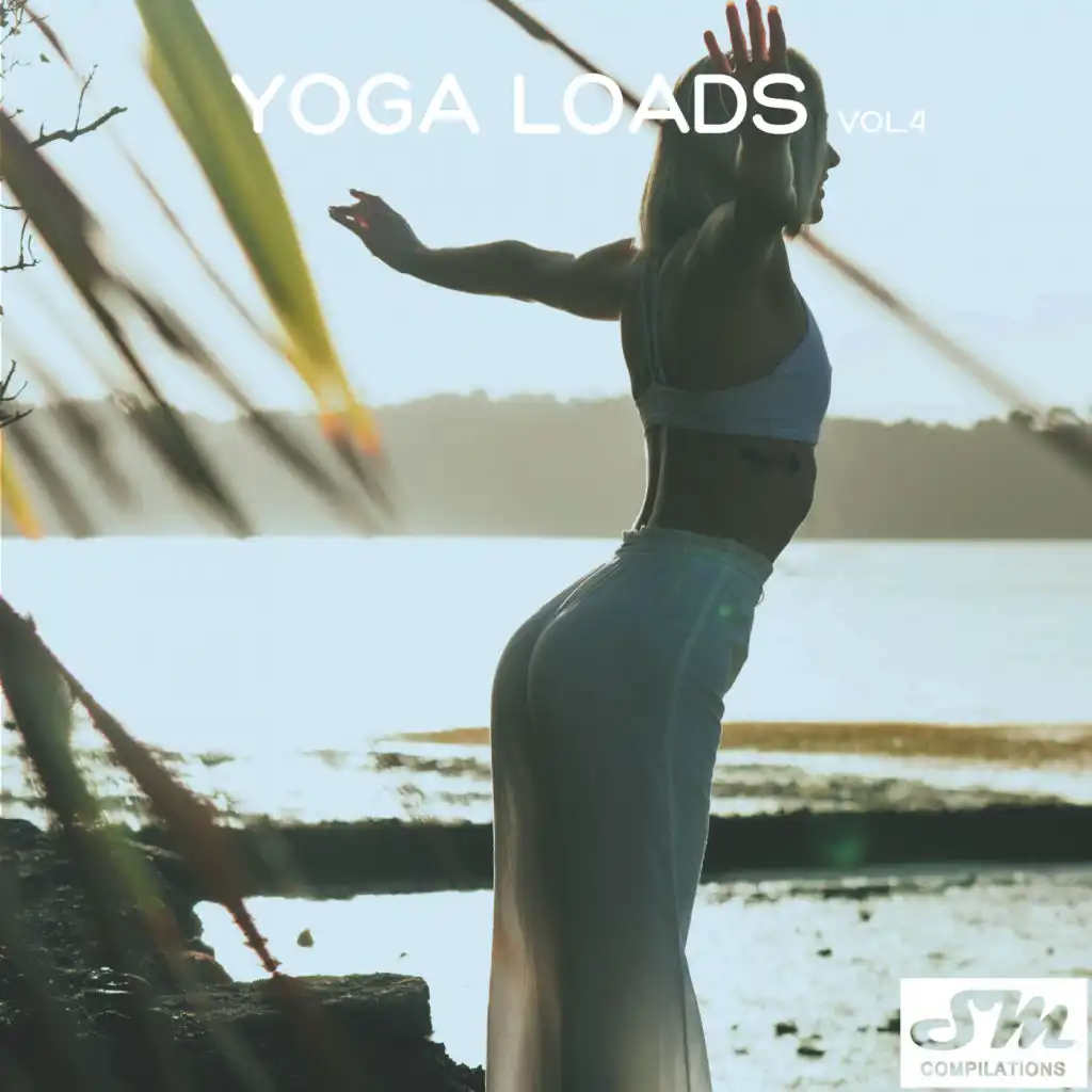 Yoga Loads, Vol. 4