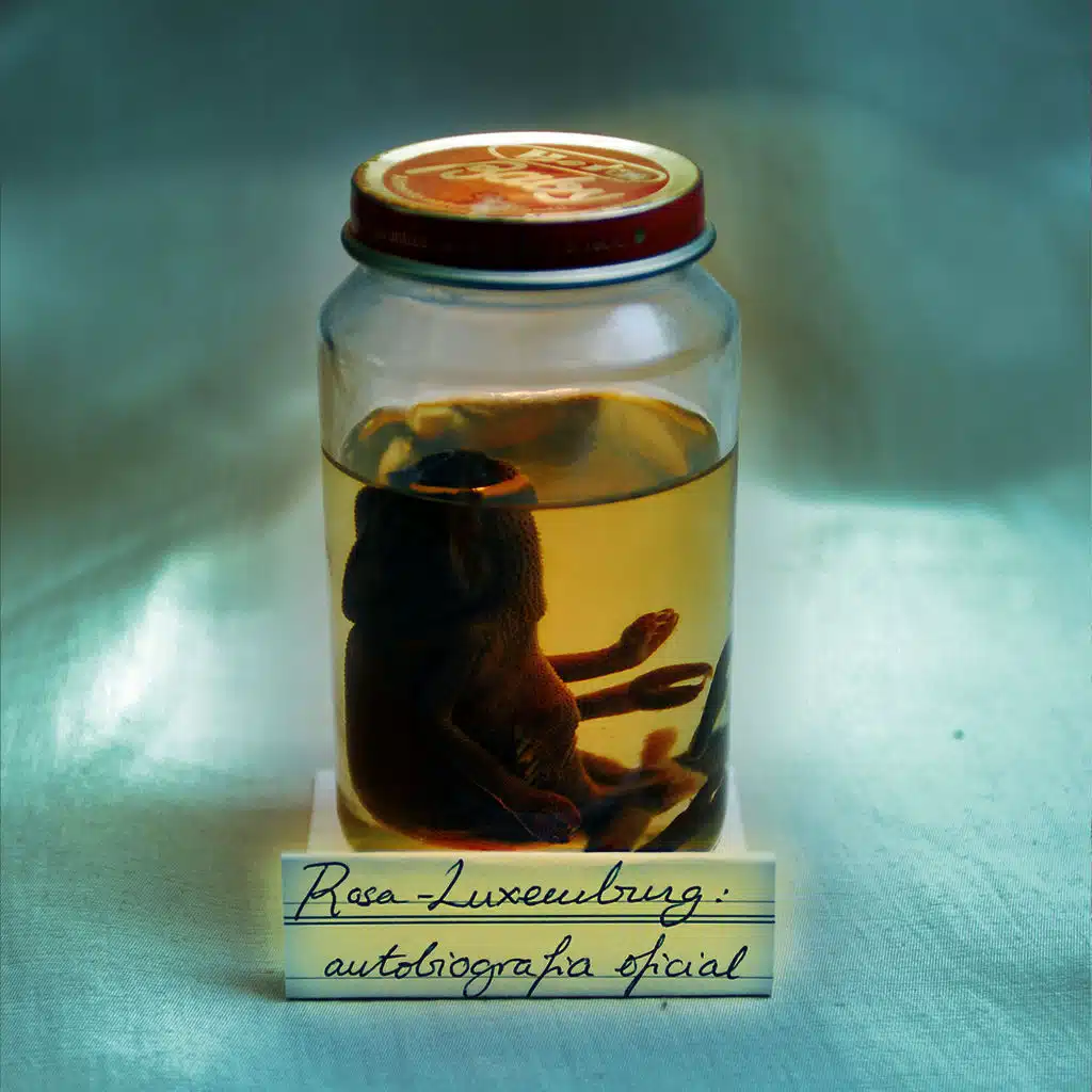 L’inoportú descobriment del sentit de la vida