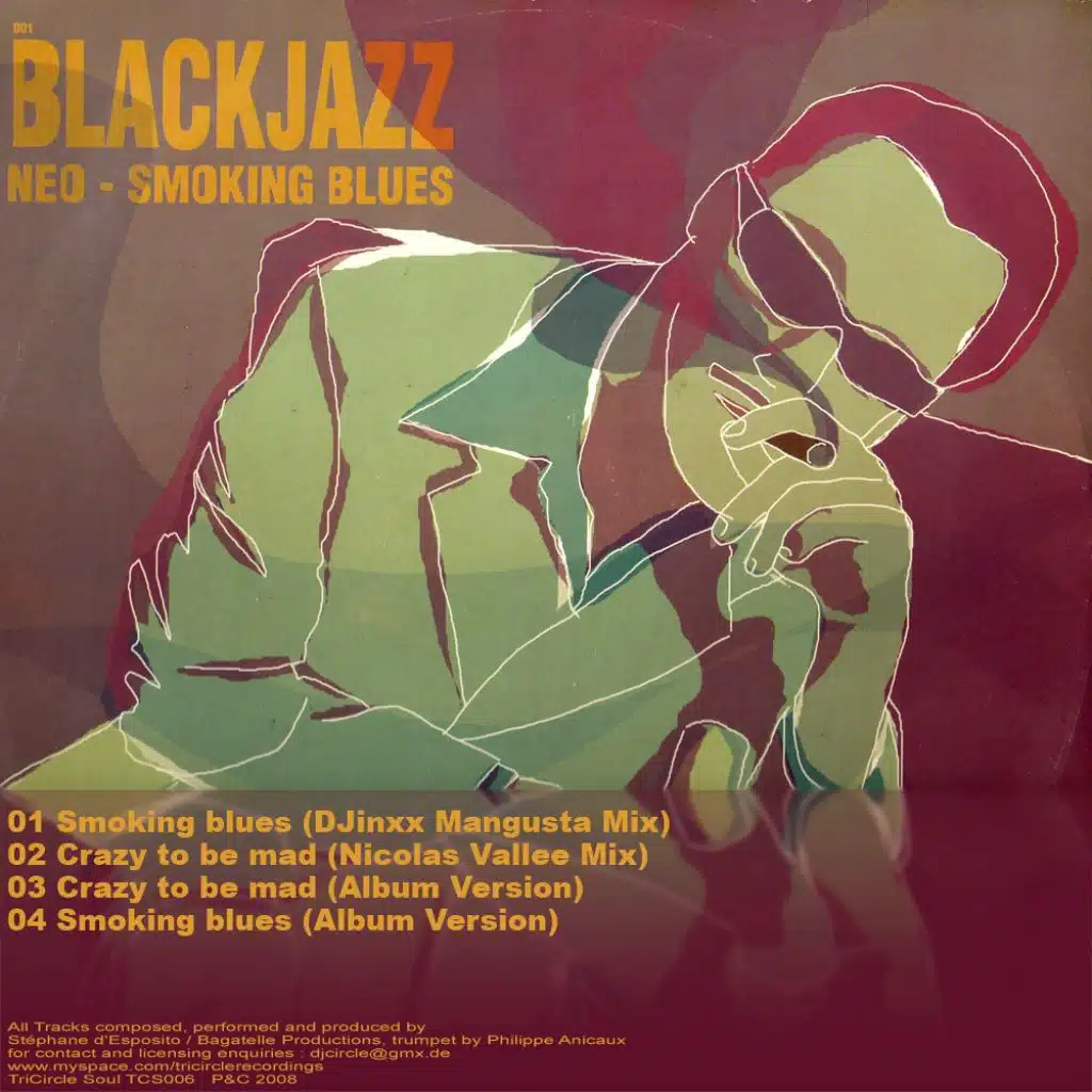 Crazy To Be Mad (Nicolas Vallee Mix)