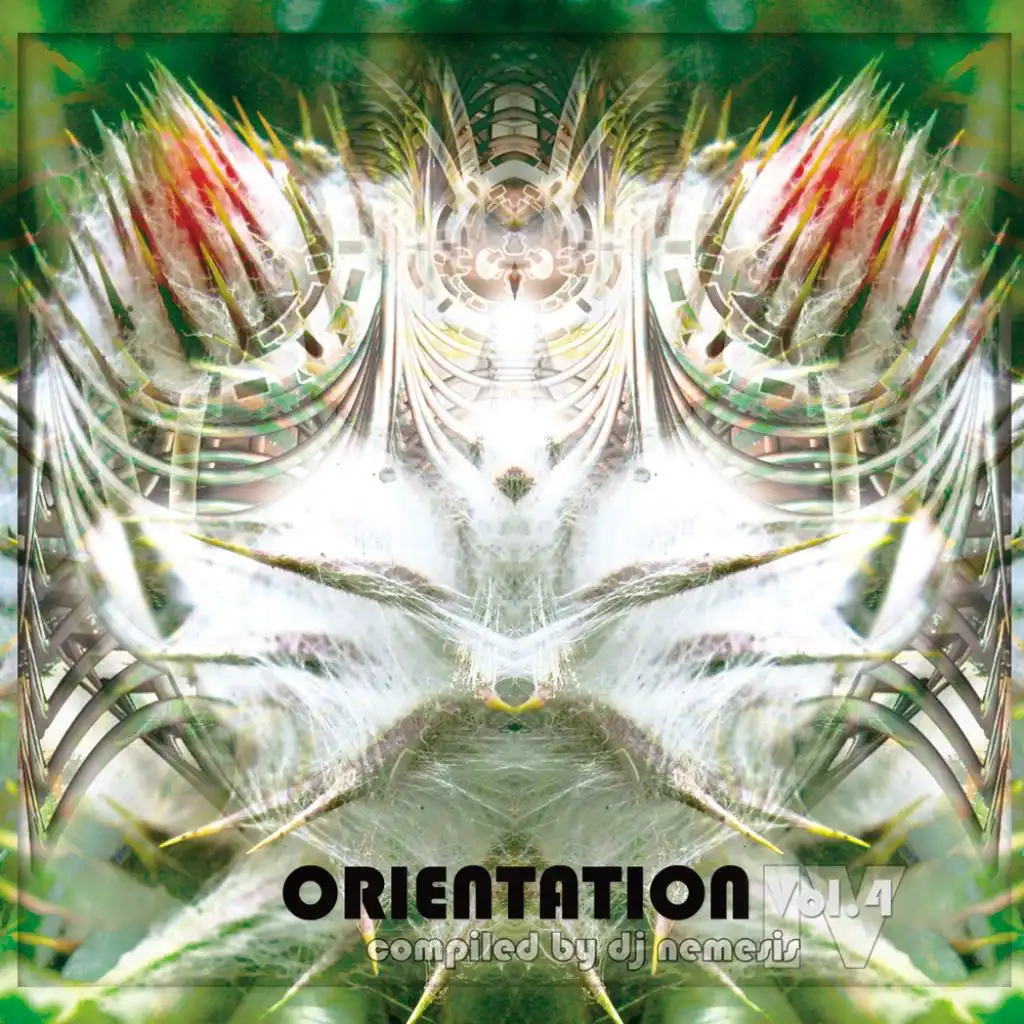 Orientation Vol.4