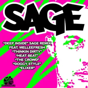Something Inside Me (Sage Deep Inside Remix)