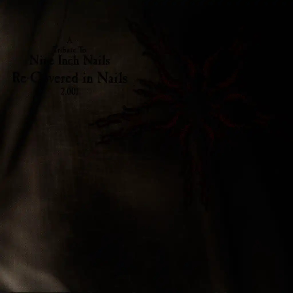 Sin (Made Famous by Nine Inch Nails)