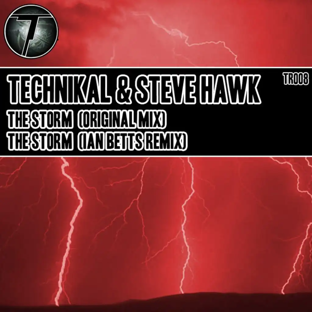 The Storm (feat. Technikal & Steve Hawk)