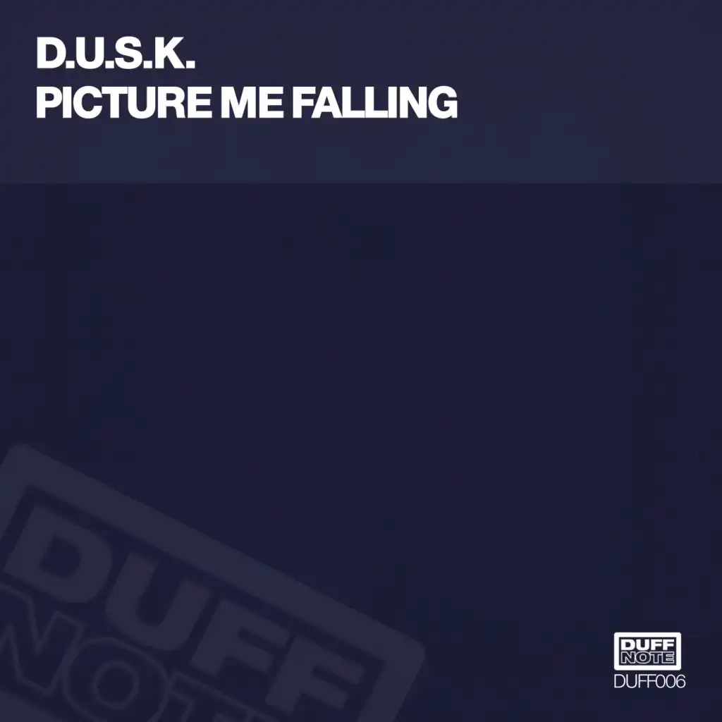 Picture Me Falling (Dub)