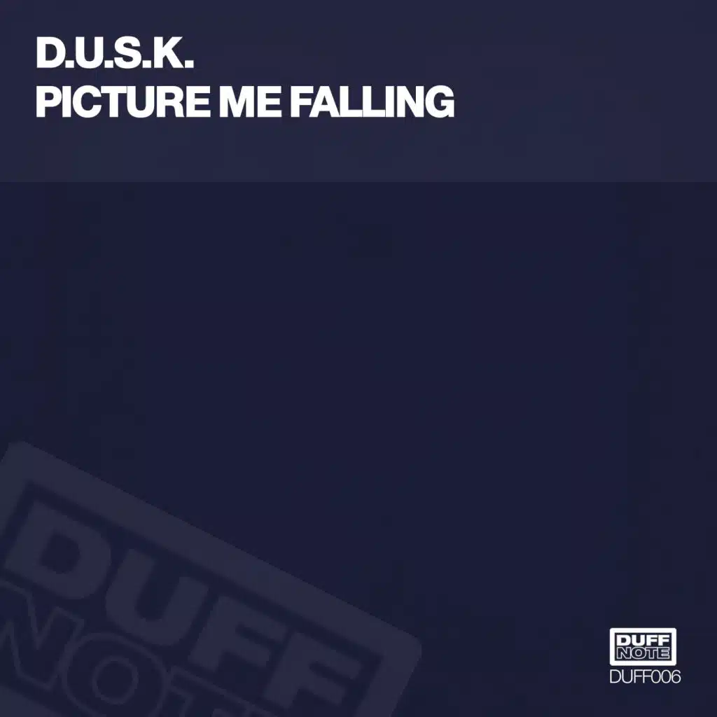 Picture Me Falling (Orignal Mix)