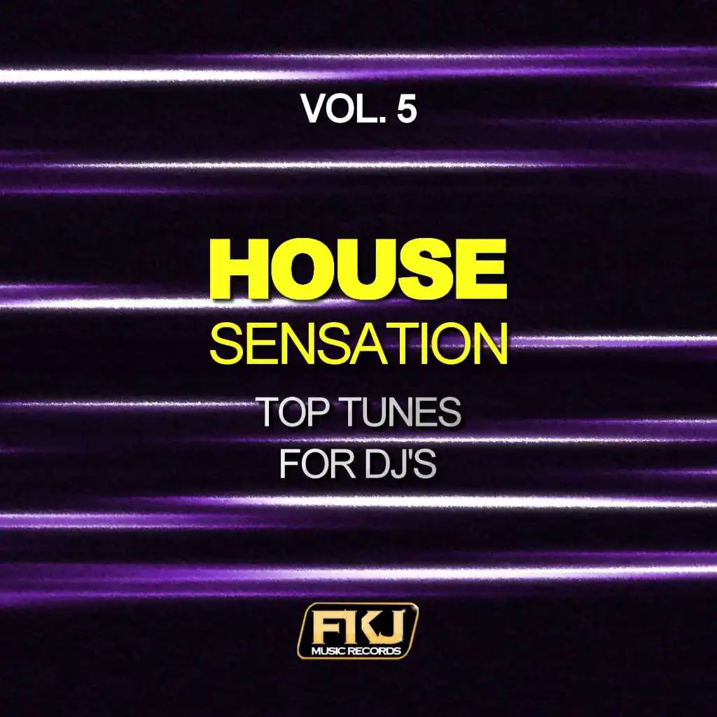 House Sensation, Vol. 5 (Top Tunes for DJ's)