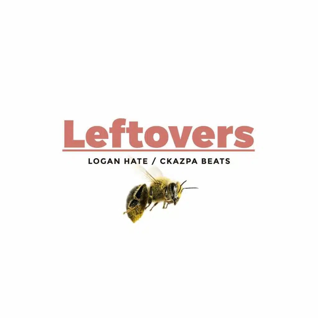 Leftovers