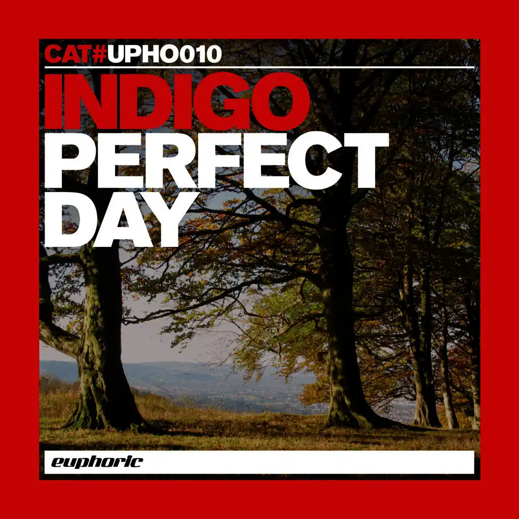 Perfect Day (Dataluxe Mix)