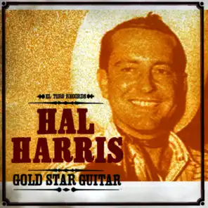 Gold Star Guitar