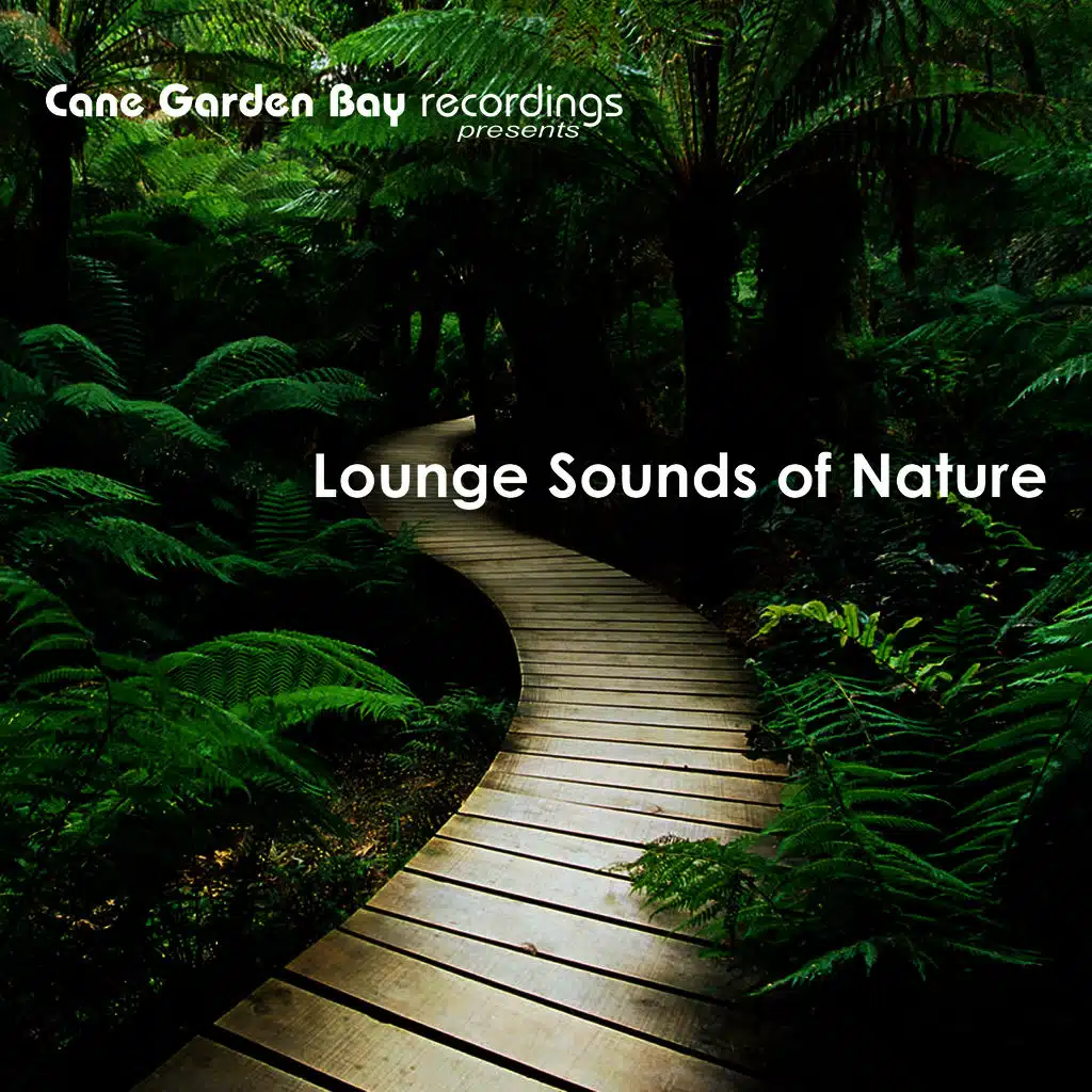 Lounge Sounds Of Nature