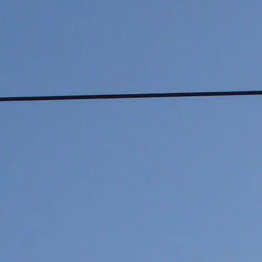 Lamana