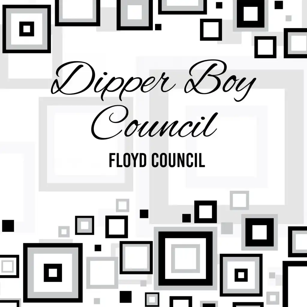 Dipper Boy Council