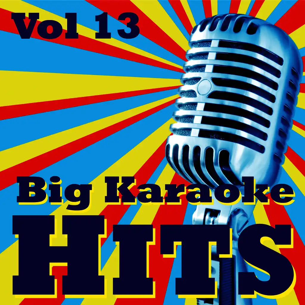 Big Karaoke Hits Vol.13