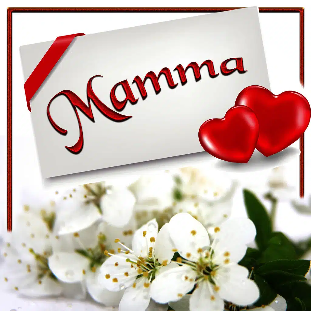 Ti voglio bene mamma
