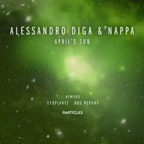 Alessandro Diga, Nappa