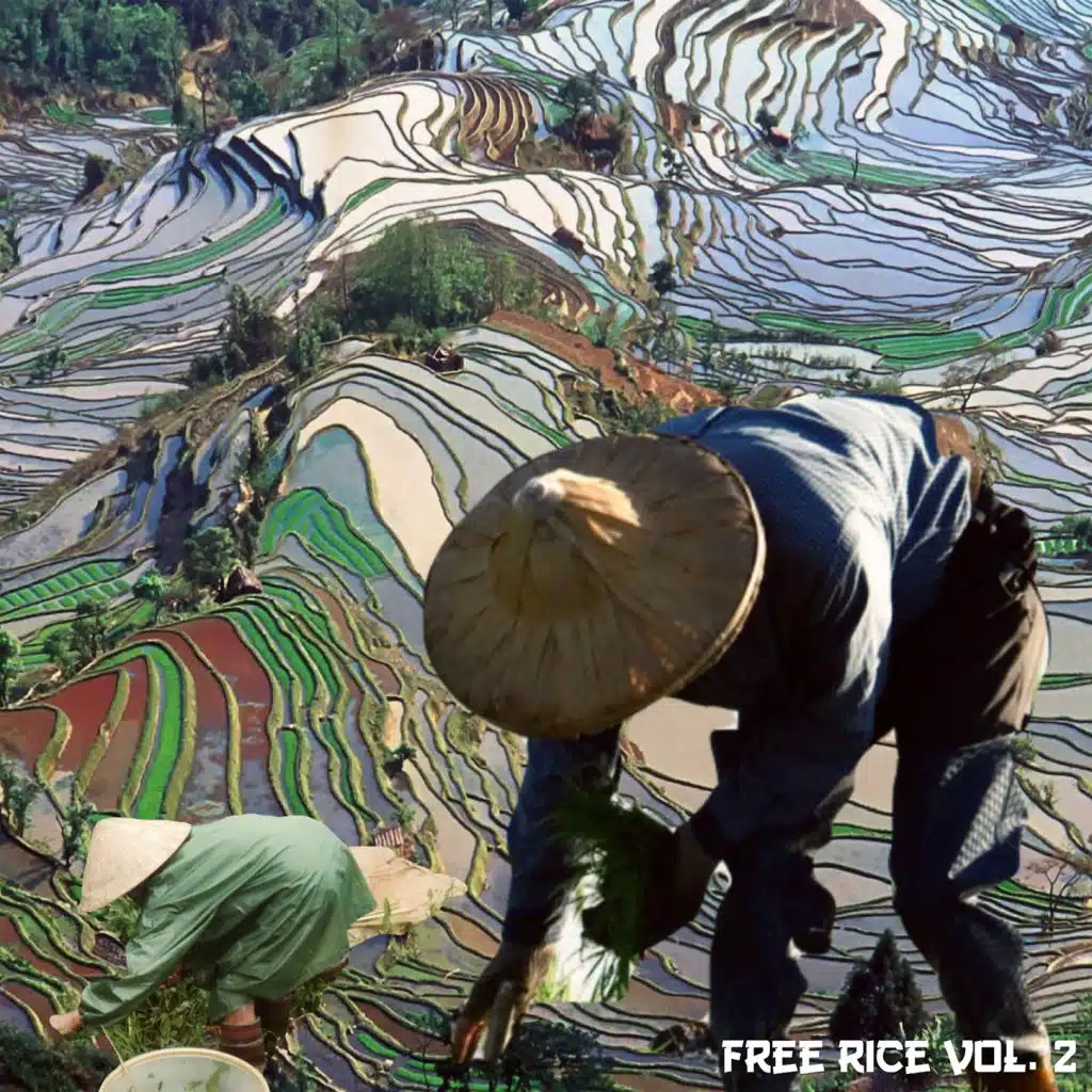 FREE RICE VOL. 2
