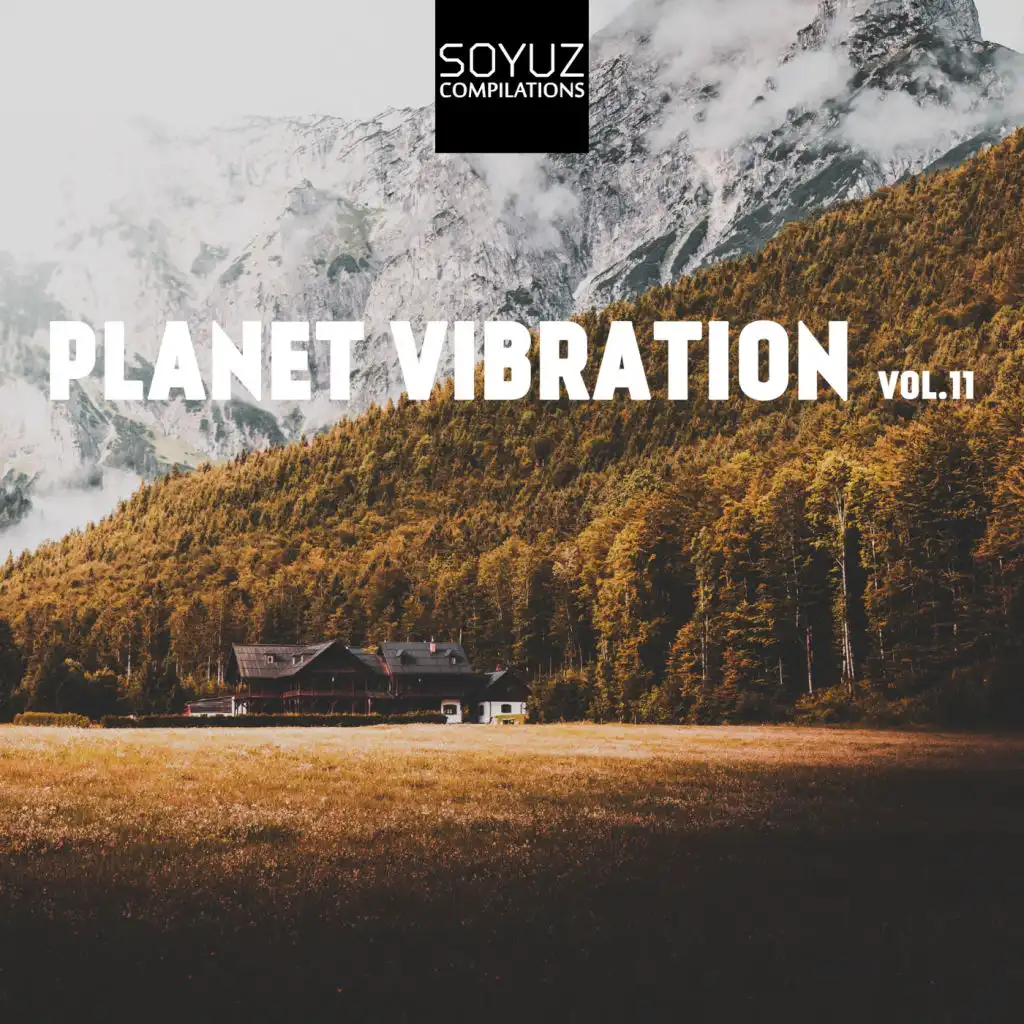 Planet Vibration, Vol. 11