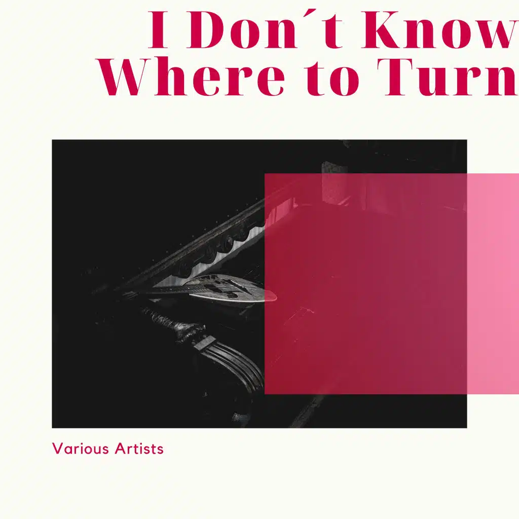 Bobby Vee, The Johnny Mann Singers