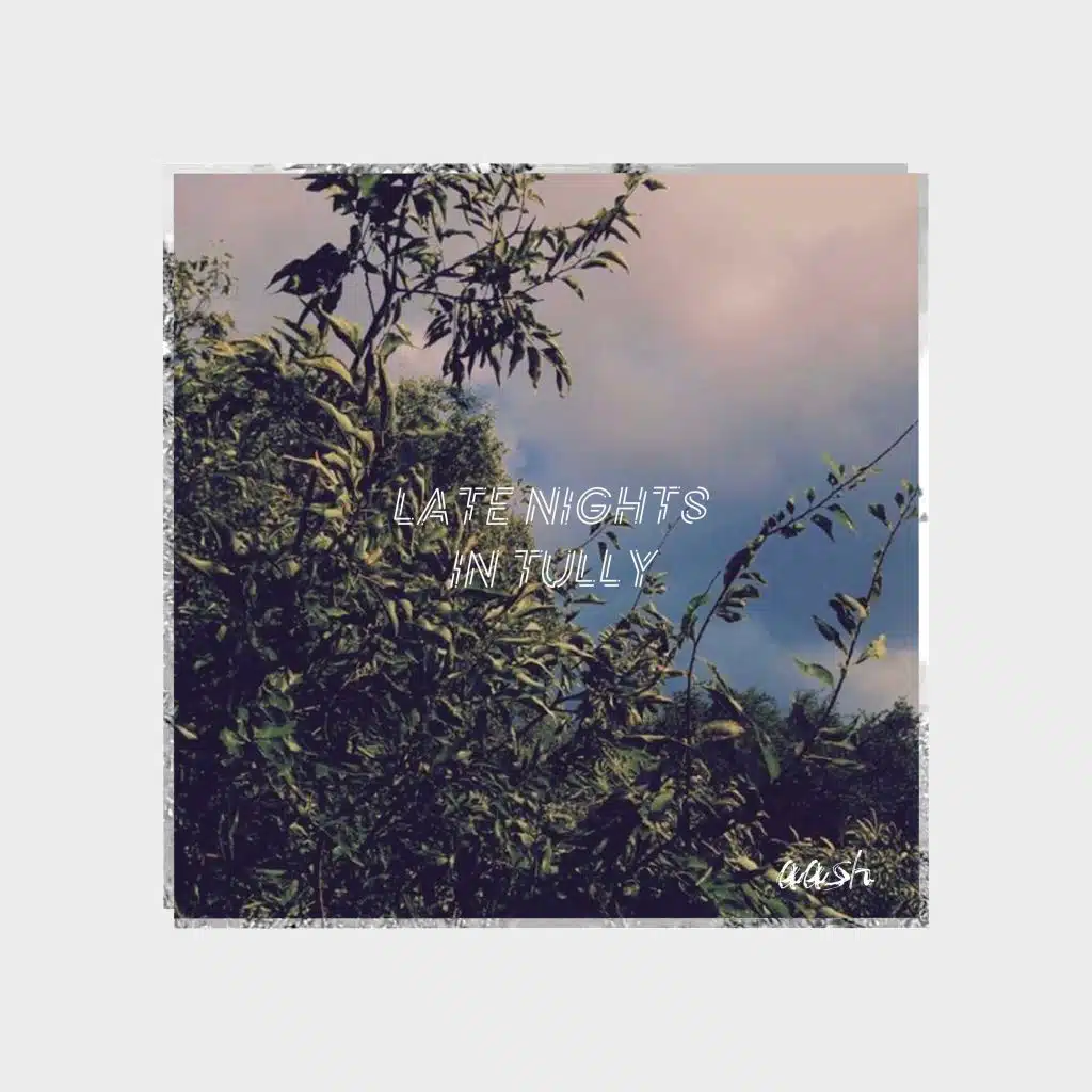 Late Nights in Tully (feat. Don Q)