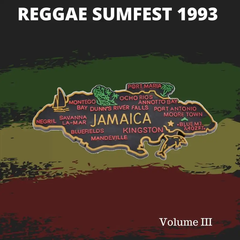 Reggae Sumfest: Jamaica 1993, Vol. III