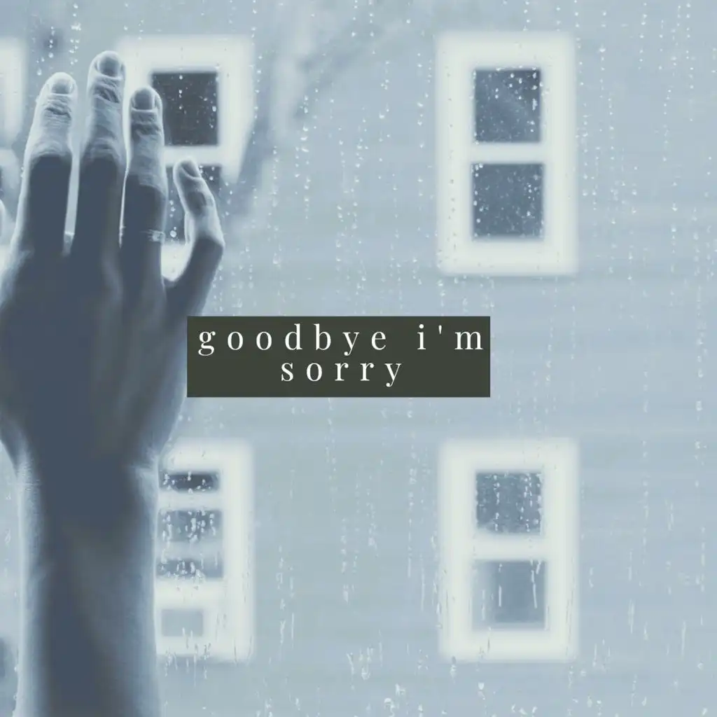 Goodbye I'm Sorry