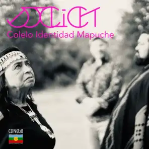 Danza Mapuche (Spiritual Mix) [feat. Colelo Identidad Mapuche]