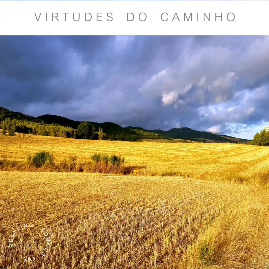 Virtudes Do Caminho