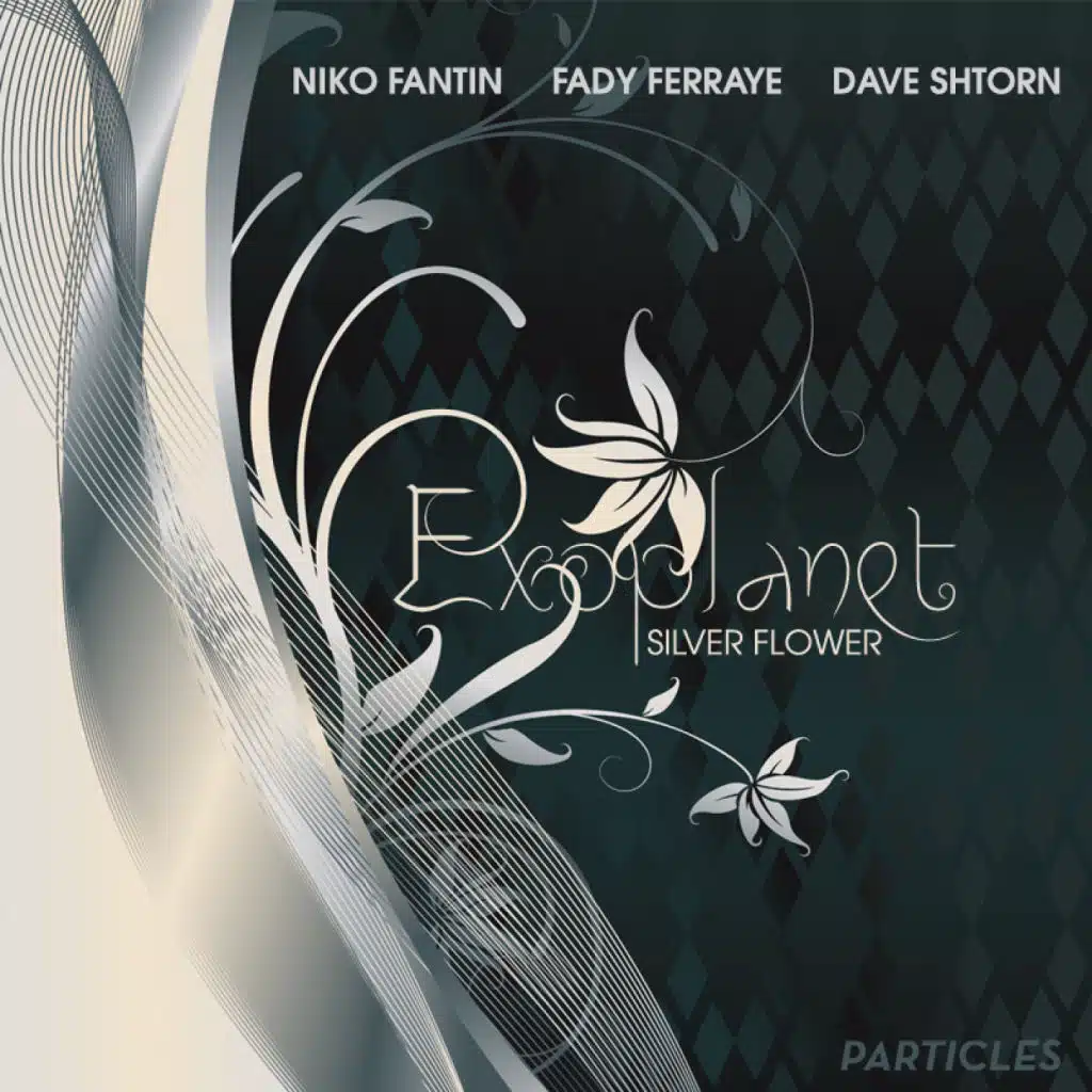 Distant Embrace (Fady Farraye 'Embracing The Distance' Mix)