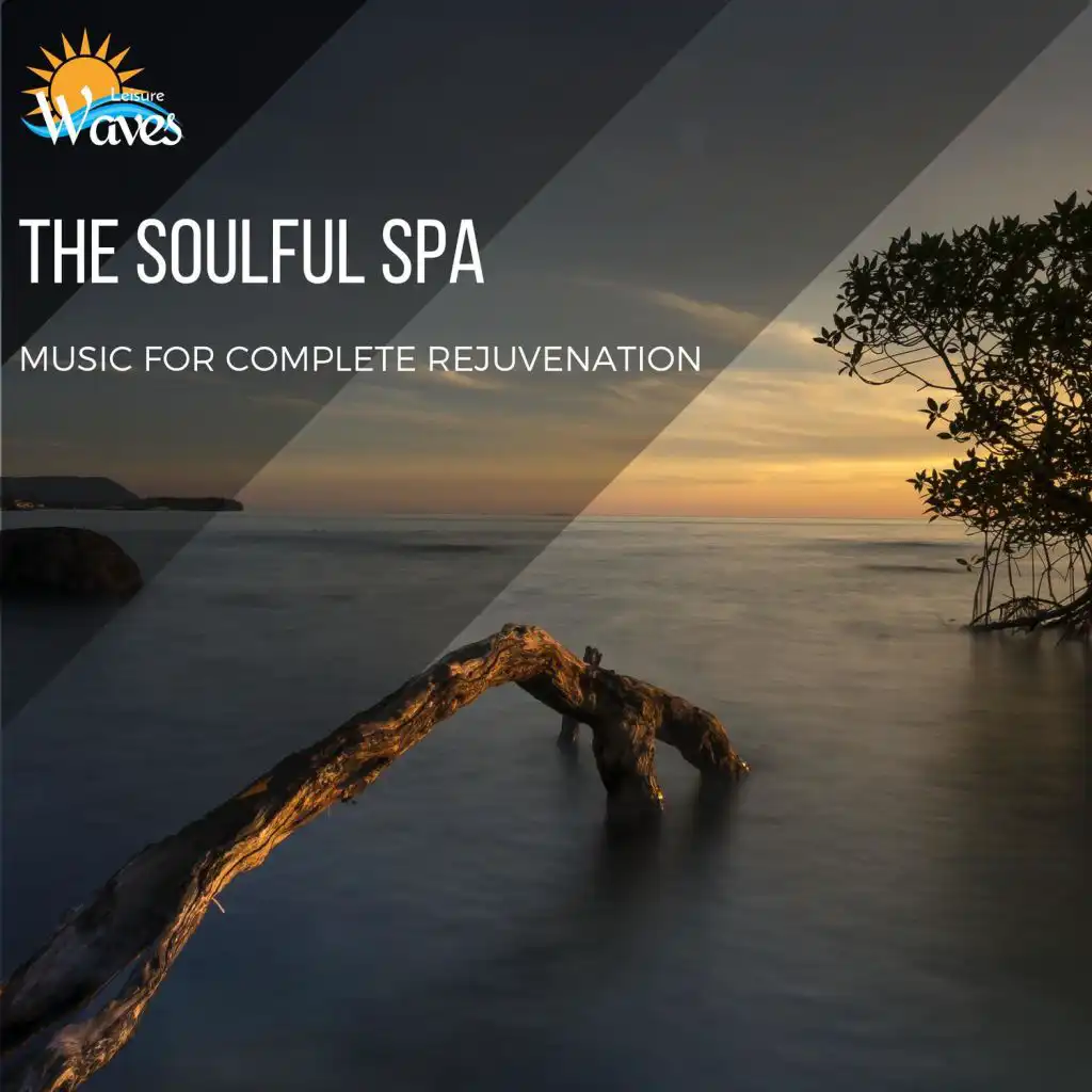 The Soulful Spa - Music for Complete Rejuvenation