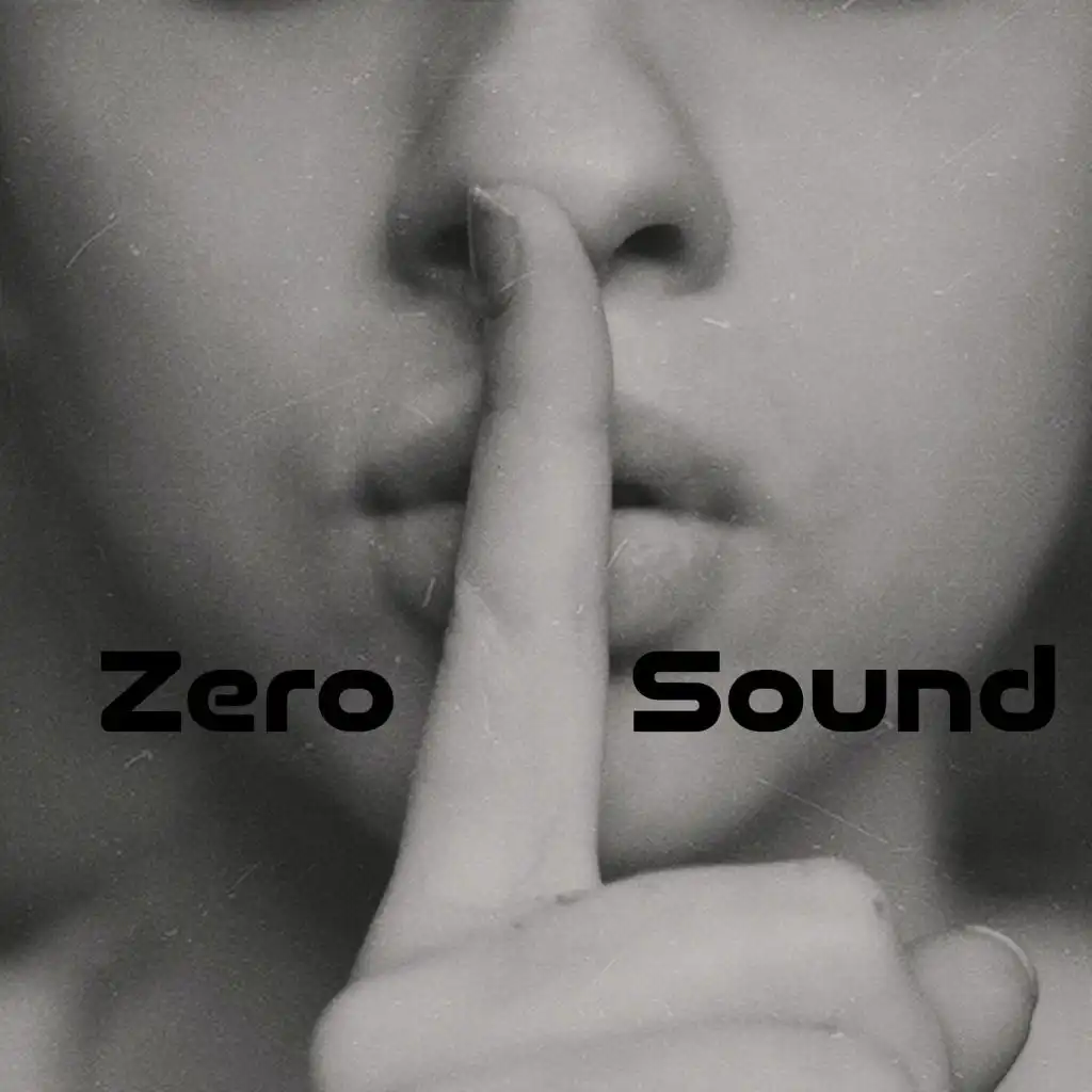 Zero Sound